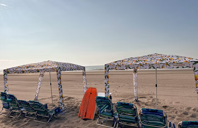 Deluxe Beach Day